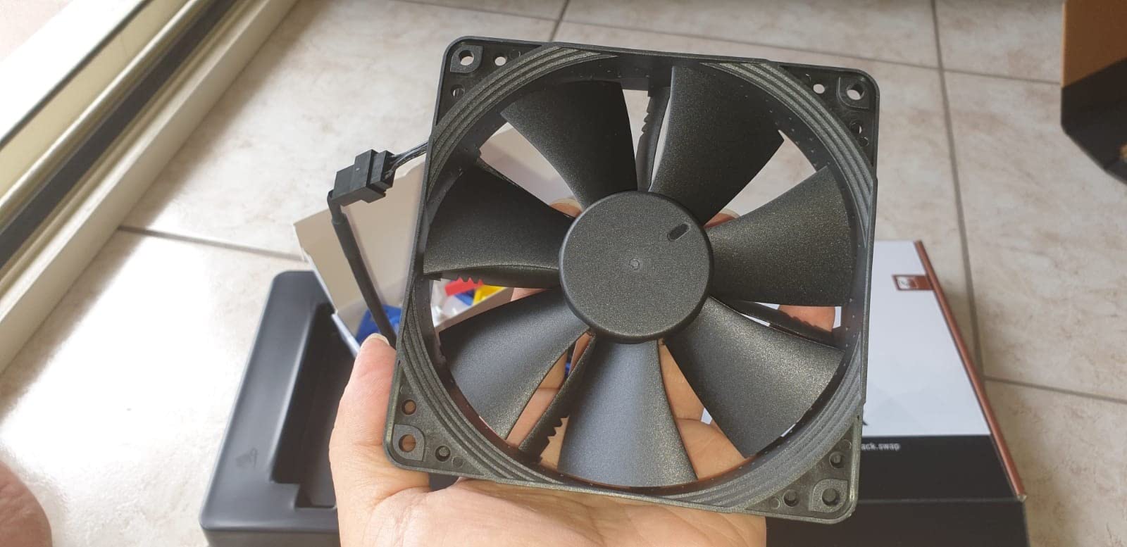 Noctua halt